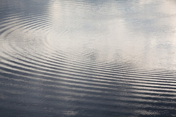 湖の波紋
