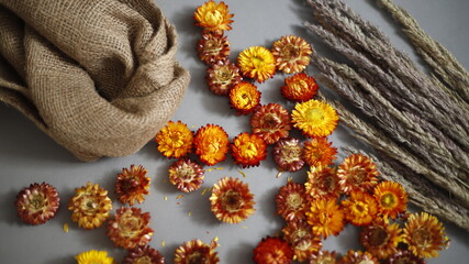 Kwiaty i trawy suche  z tkaniną jutową na szarym tle © Seance_Photo_Sylwia