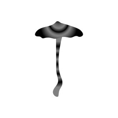 Magic monochrome mushrooms. Psychedelic hallucination. Poisonous inedible mushrooms. Vibrant vector clipart. Fairy Tales illustration on white  background.
