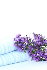 ミントブッシュの花束と水色と白のタオル