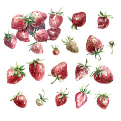 Collection of watercolor illustrations - hand drawn strawberries in sketch style. Juicy watercolor strawberries isolated on white background. Hand drawn