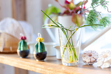 Water-fed plants in a clear glass are placed on a wooden table.