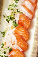 Salmon sushi with fresh vegetables
