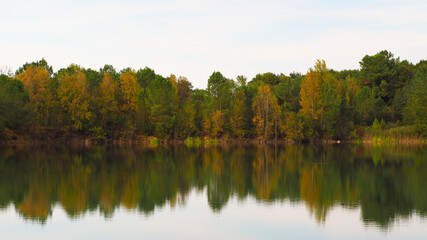 Fototapeta na wymiar Rive opposée d'un étang, arborant les couleurs de l'automne
