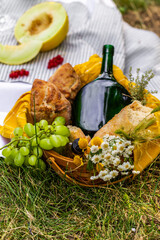 Picnic basket with bottle of wine bread. grape. Picnic on a vineyard.