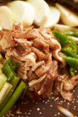 Korean food pork seasoning vegetables bulgogi