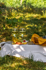 Picnic with glasses of white wine on a vineyard. Two glasses of white wine, cheese, bread, grape,...