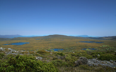 Wide and isolated wild valley and hills of multiple ponds, grassland and green forest surrounded mountains and clear blue sky,  The Overland Track, Tasmania, Australia