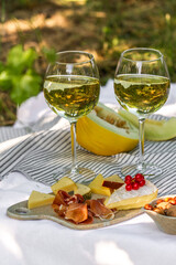 Picnic with glasses of white wine on a vineyard. Two glasses of white wine, cheese, bread, grape, berries, melon.