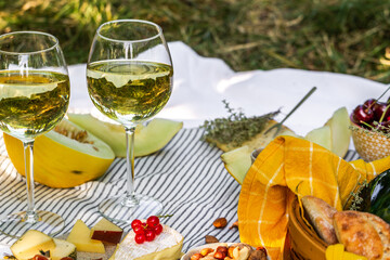 Picnic with glasses of white wine on a vineyard. Two glasses of white wine, cheese, bread, grape,...