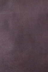 Background. Texture. Lambskin is brown in color. Vertical orientation. 