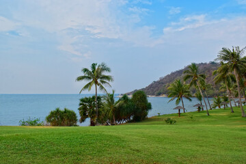Fototapeta na wymiar Green lawn and Coconut trees at the seashore