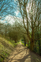 Footpath along the Malvern hills of England.