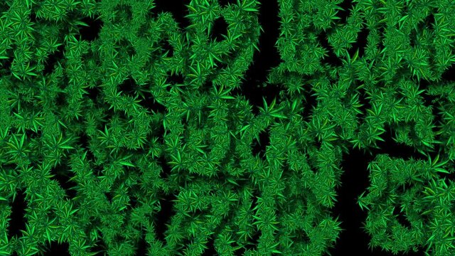 Wall from Cannabis Alphabet 3 - Perfect Looped Legalize