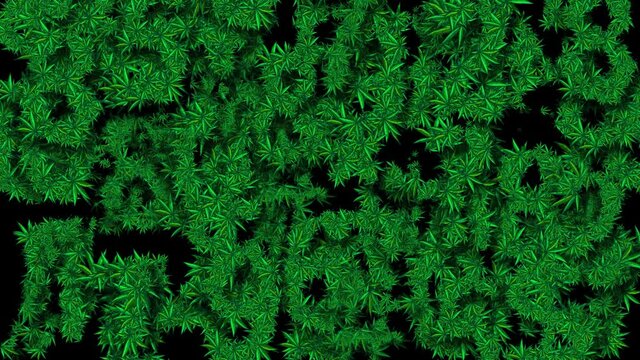 Wall from Cannabis Digits 1 - Perfect looped. 
Legalize it!
