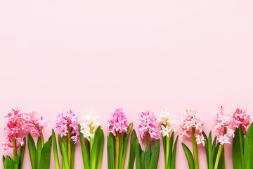 Pink and white hyacinth flowers border on a pink background. Valentines Day, Mothers day, Birthday celebration concept.