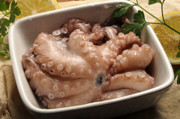 Octopus vulgaris ft0209_0191 Obična hobotnica 普通章魚 Polpo