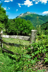 Hills and Valleys Landscape, Redes Natural Park, Principality of Asturias, Asturias, Spain, Europe
