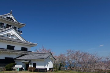 城と桜