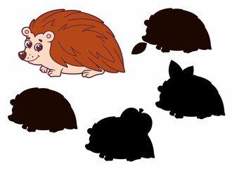 Vector illustration of shadow matching game for children. Vector isolated cartoon hedgehog on the white background. Learning activity.