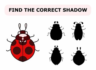 Vector illustration of shadow matching game for children. Vector isolated cartoon ladybug on the white background. Learning activity. © Olya Kis