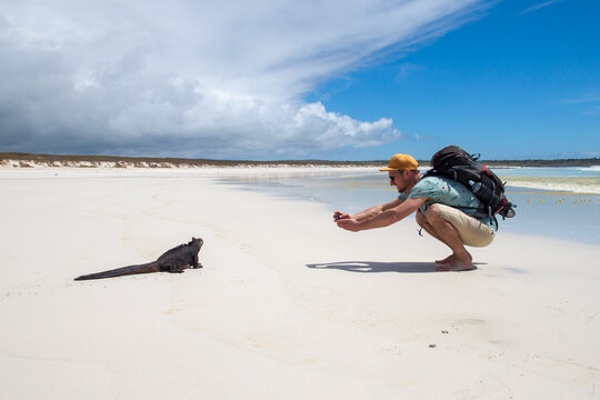 a man takes pictures of an iguana on the beach