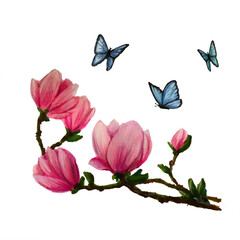 Cute cartoon fox with roses and quote Hello spring. Hand drawn illustration isolated