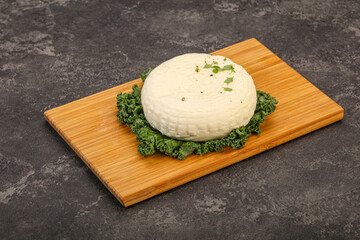 Caucasian suluguni round cheese piece