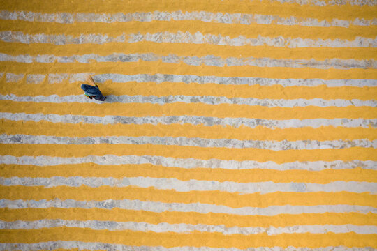 Aerial view of farmers working on field drying rice during the day, Dhamrai, Dhaka, Bangladesh.