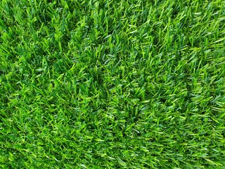 Green artificial turf for garden decoration.