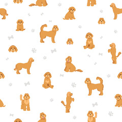 Labradoodle seamless pattern.  Different poses, coat colors set.