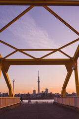 橋の上から見るスカイツリー