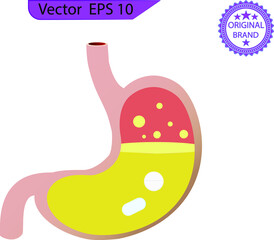 High acidity of the human stomach on transparent background. Stomach and pill. Taking medicine. Dissolving drug. Disease of human internal organ. Medical care. Pain in belly. Capsule and digestion.