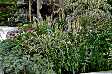 A delicate flower border of white and silver planting in a modern garden
