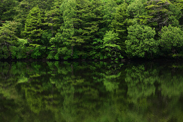 新緑の木々が静かな湖面に映りこむ