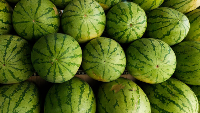 melons in a market