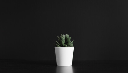 92 Green Plant White Cup