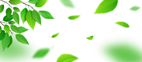 新緑の背景　ベクター素材