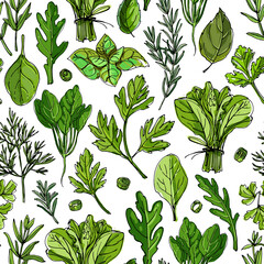 Pattern food color herbs. Spices. Italian herb drawn black lines on a white background. Vector illustration. Basil, Parsley, Rosemary, Sage, Bay, Thyme, Oregano, Mint