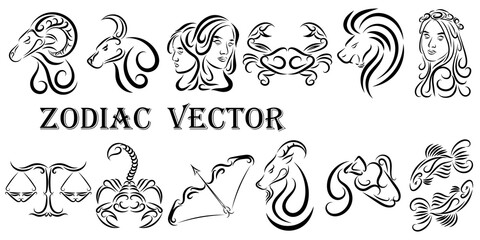 Vector graphic illustration of zodiac signs. All zodiac signs in line art concept: Aries; Taurus; Gemini; Cancer; Leo; Virgo; Libra; Scorpio; Sagittarius; Capricorn; Aquarius and Pisces.