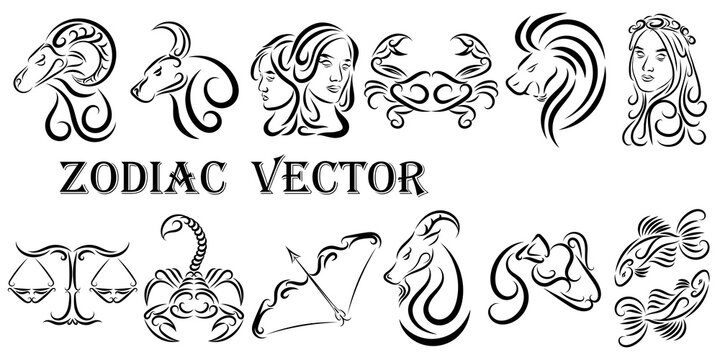 Vector graphic illustration of zodiac signs. All zodiac signs in line art concept: Aries; Taurus; Gemini; Cancer; Leo; Virgo; Libra; Scorpio; Sagittarius; Capricorn; Aquarius and Pisces.