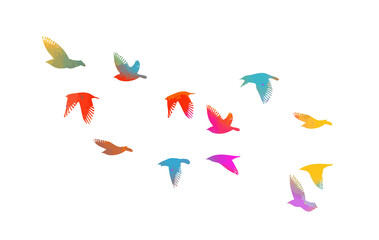 Bird watercolor. A flock of colorful birds. Mixed media. Vector illustration