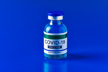 simulated covid-19 vaccine