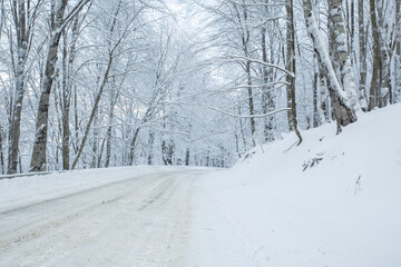 Road in Sabaduri forest with covered snow. Winter time