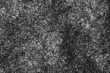 Background of black and white sponge texture - high resolution