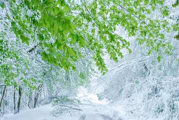 Extreme weather in spring