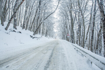 Fototapeta premium Road in Sabaduri forest with covered snow. Winter time