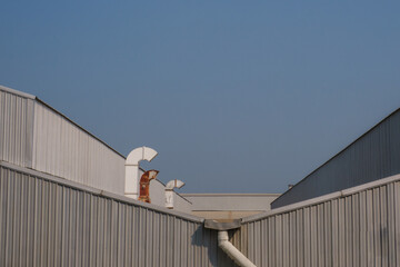 Industrial roof factory behind the sky In the industrial area Production