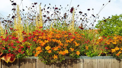 Üppige Blüten Farben Pracht Blumen Pflanzen Vielfalt bunte Sommer Frühling Balkon Terrasse Blume...