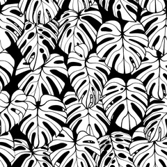 Monstera Leaf Seamless Pattern